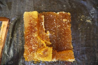       Bal hücreleri kumaş üzerinde, baskıya hazır. Kumaştan mekanik bal presi. Bal işleme                         