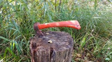 Ağaçların arka planında, gölün kıyısında eski bir tahta bloğa kesilmiş, kırmızı ahşap saplı bir balta.