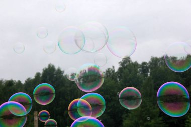 Renkli sabun köpüğü arkaplanı. Renkli kabarcıklar.