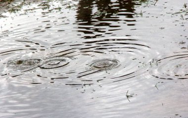 Sudaki yağmur damlalarının dokusu. Yağmurlu bir günde su birikintisi üzerine yağmur damlası