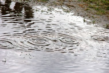 Sudaki yağmur damlalarının dokusu. Yağmurlu bir günde su birikintisi üzerine yağmur damlası