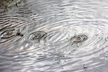 Sudaki yağmur damlalarının dokusu. Yağmurlu bir günde su birikintisi üzerine yağmur damlası