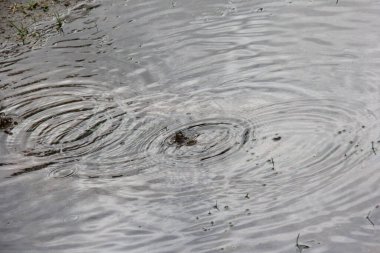 Sudaki yağmur damlalarının dokusu. Yağmurlu bir günde su birikintisi üzerine yağmur damlası