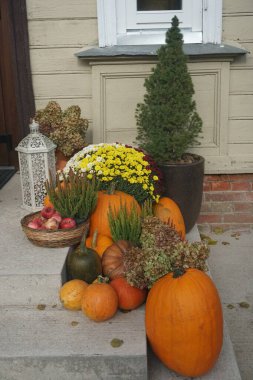 Merdivenlerde farklı kabak ve kabak kompozisyonu. Balkabağı çiftliği. Cadılar Bayramı süslemesi balkabağı