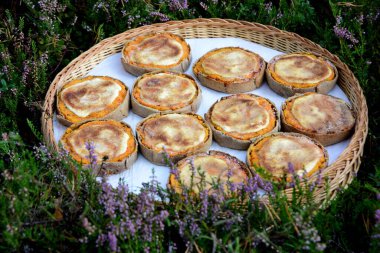 Havuçlu çavdar tartı, patates ve kimyon hasır sepette, yosun ve ağaçlarla kaplı doğal bir orman arka planında. Sklandrausis 'de havuç ve çavdar hamurlu Letonya tatlısı.