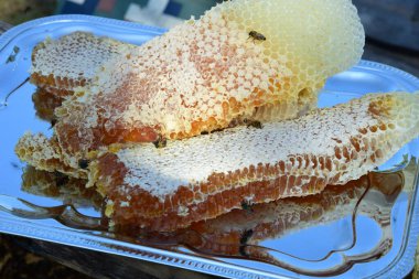 Bal ve bal petekleri metal tepside. Büyük doğal bal petekleri.