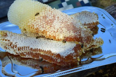 Bal ve bal petekleri metal tepside. Büyük doğal bal petekleri.