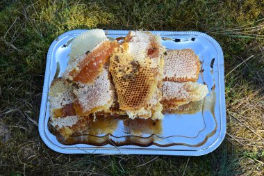 Bal ve bal petekleri metal tepside. Büyük doğal bal petekleri.