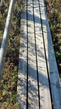      Jugu 'da bataklıktaki tahta patika bir ormanın içinde ele geçirildi. Sonbaharda bataklık                          