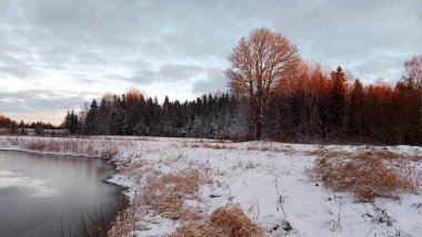 Kış sahnesinde suda yansımalar ve ağaçta günbatımı rengi. Kış boyunca mavi bulutlu gökyüzüne karşı donmuş ağaçlar.