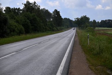 Yazın Letonya 'da asfalt orman yolu manzarası