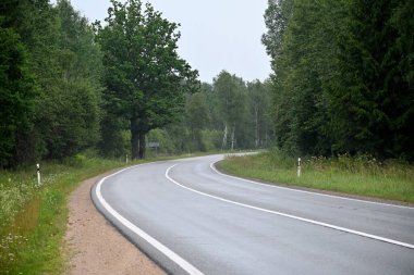 Yazın Letonya 'da asfalt orman yolu manzarası
