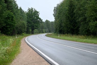 Yazın Letonya 'da asfalt orman yolu manzarası