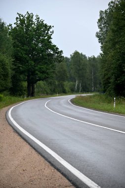 Yazın Letonya 'da asfalt orman yolu manzarası