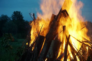              Letonya 'da yaz arifesinde büyük bir şenlik ateşi yanıyor. Kırsal alanda akşam vakti parlak şenlik ateşi yanıyor.                  