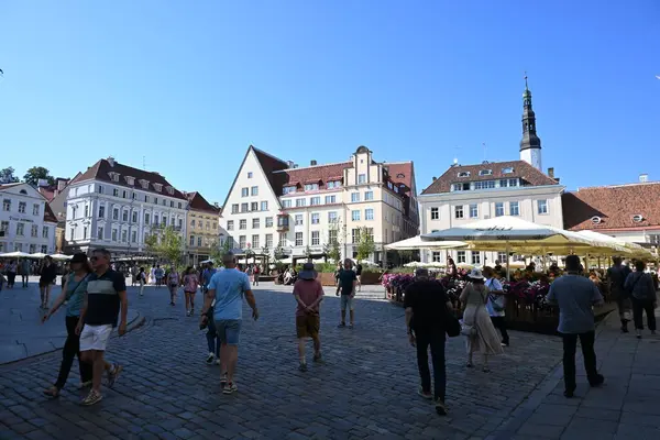 Tallinn, Estonya - 19 Temmuz 2025 Tallinn Old Town. Şehirde dinlenen insanlar.
