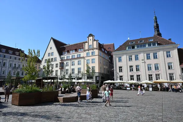 Tallinn, Estonya - 19 Temmuz 2025 Tallinn Old Town. Şehirde dinlenen insanlar.