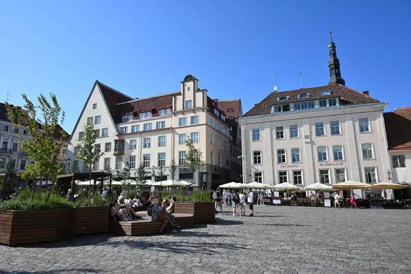 Tallinn, Estonya - 19 Temmuz 2025 Tallinn Old Town. Şehirde dinlenen insanlar.