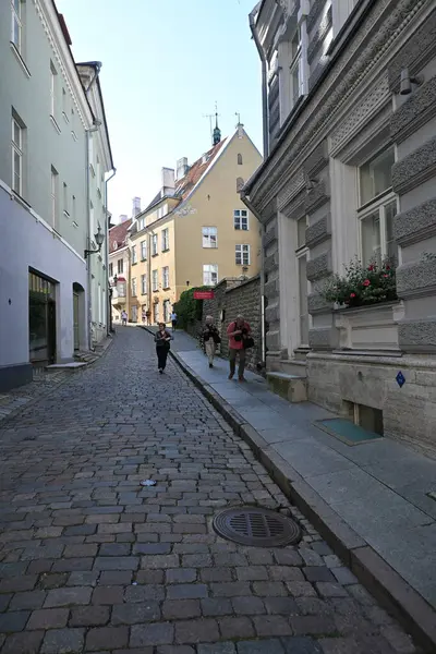 Tallinn, Estonya - 19 Temmuz 2025 Tallinn Old Town. Şehirde dinlenen insanlar.
