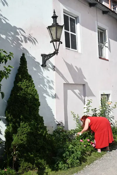 Tallinn, Estonya - 19 Temmuz 2025 Tallinn Old Town. Şehirde dinlenen insanlar.