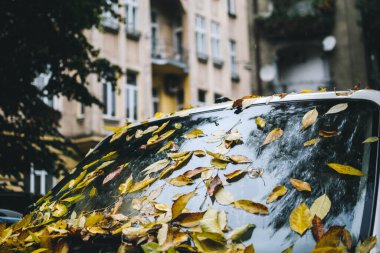 Beyaz bir minibüsün ön camında sarı yapraklar vardı. Ekim 'de soğuk bulutlu bir sonbahar öğleden sonra. Arkaplanda bulanık mimari.