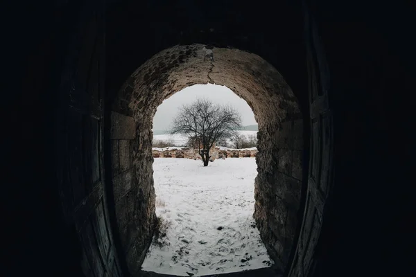 Tunnel Passage Black Dry Tree Gray Winter Field Snowy Landscape — Stock Photo, Image