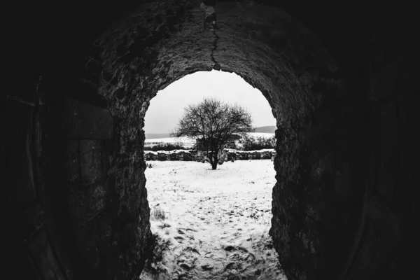 Mroczne Gotyckie Czarno Białe Przejście Tunelowe Czarne Suche Drzewo Szarym — Zdjęcie stockowe