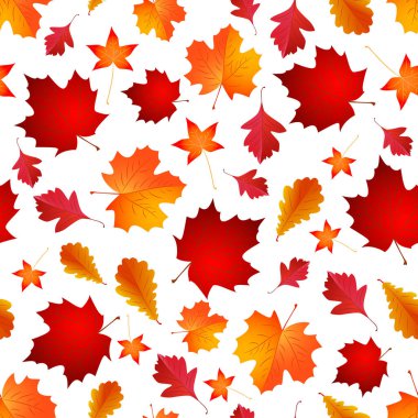 Sonbahar, kusursuz ve şirin bir düşüş şekli bırakır. Vektör arkaplanı