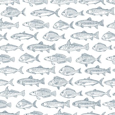 Ocean fish seamless pattern vector clipart