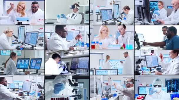 실험실의 사람들 실험실에서 일합니다 실험실 보조원들은 연구를 콜라주 로열티 프리 스톡 비디오
