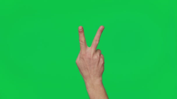 Mans Hand Shows Gestures Signs Victory Chroma Key Green Screen — Wideo stockowe