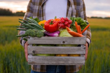 Gün batımında tarım arazisinin önünde sebze kutusu olan bir çiftçi. Kırsal kesimde bir adam. Kır hayatı, gıda üretimi, tarım ve kırsal yaşam tarzı kavramı.