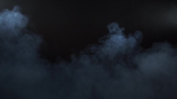 Smoke Black Background Fog Steam Abstract Dark Texture Pattern Black — 비디오
