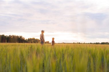 Çiftçi ve oğlu günbatımı tarımının önünde. Kırsalda bir adam ve bir çocuk. Babalık kavramı, köy hayatı, tarım ve kırsal yaşam tarzı..
