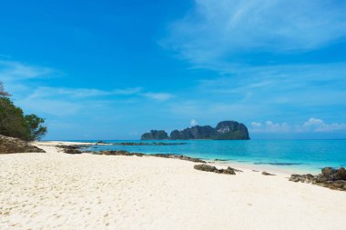 Tropical forest, sea coast, beach and sky. Phuket, Thailand. The concept of traveling.