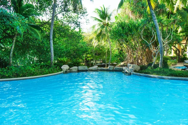 Prachtig Luxe Zwembad Met Exotische Palmbomen Thais Phuket Vakantieconcept — Stockfoto