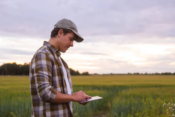 Farmer Tablet Computer Front Sunset Agricultural Landscape Man Countryside Field — Stock Photo, Image