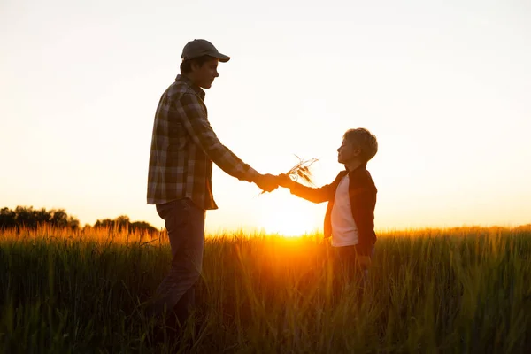 Farmer His Son Front Sunset Agricultural Landscape Man Boy Countryside — Stock Fotó