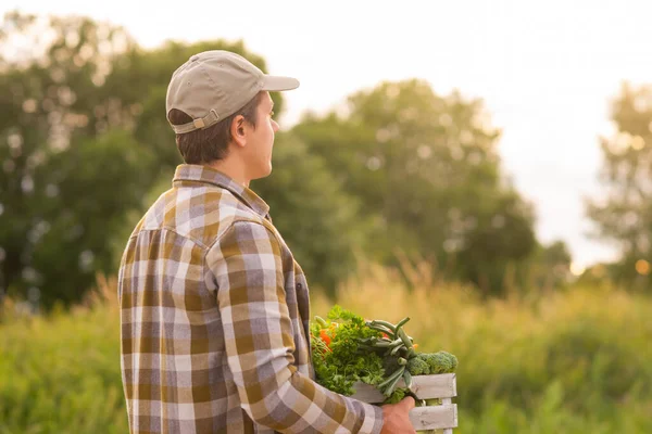 Farmer Vegetable Box Front Sunset Agricultural Landscape Man Countryside Field — Foto de Stock