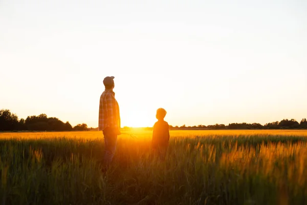 Farmer His Son Front Sunset Agricultural Landscape Man Boy Countryside — 图库照片