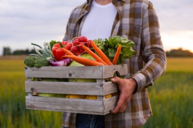 Farmer with a vegetable box in front of a sunset agricultural landscape. Man in a countryside field. The concept of country life, food production, farming and country lifestyle.