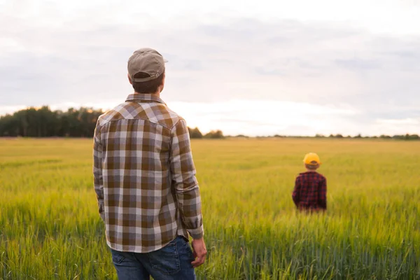 Farmer His Son Front Sunset Agricultural Landscape Man Boy Countryside — Stock fotografie