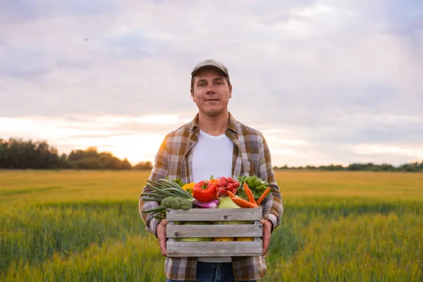 Farmer Vegetable Box Front Sunset Agricultural Landscape Man Countryside Field — Foto de Stock
