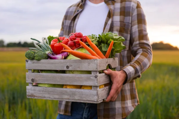 Farmer Vegetable Box Front Sunset Agricultural Landscape Man Countryside Field — Foto Stock