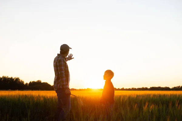 Farmer His Son Front Sunset Agricultural Landscape Man Boy Countryside — Stok fotoğraf