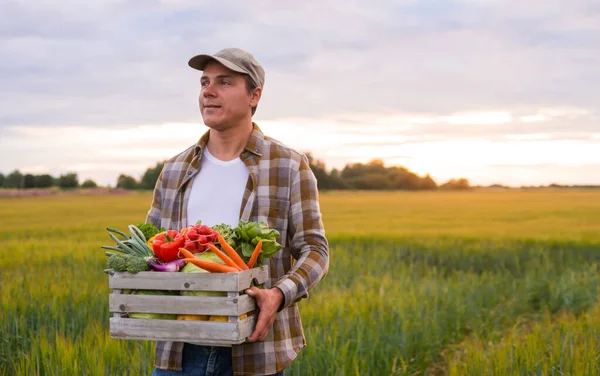Farmer Vegetable Box Front Sunset Agricultural Landscape Man Countryside Field — Φωτογραφία Αρχείου