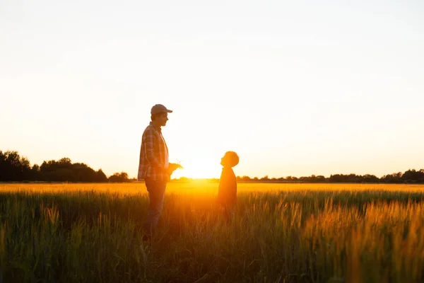 Boer Zijn Zoon Voor Een Zonsondergang Agrarisch Landschap Man Een — Stockfoto