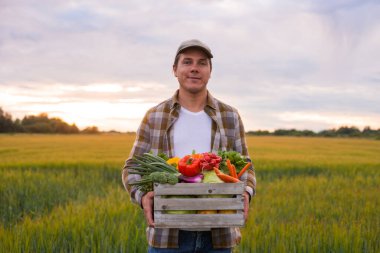 Gün batımında tarım arazisinin önünde sebze kutusu olan bir çiftçi. Kırsal kesimde bir adam. Kır hayatı, gıda üretimi, tarım ve kırsal yaşam tarzı kavramı.