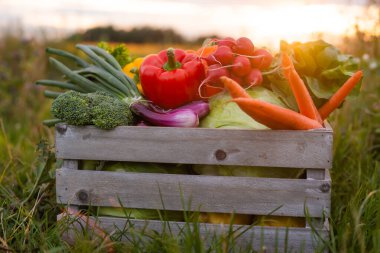 Vegetable box in front of a sunset agricultural landscape. Countryside field. The concept of natural food, fruits and vegetables production, farming and healthy eating.