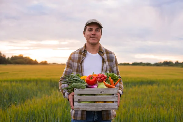 Farmer Vegetable Box Front Sunset Agricultural Landscape Man Countryside Field — Φωτογραφία Αρχείου
